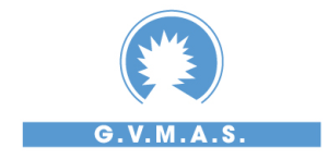 GVMAS